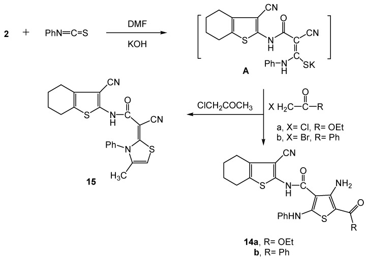 Scheme 8