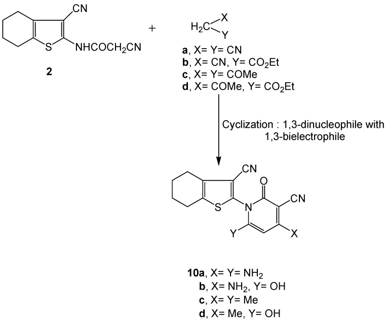 Scheme 5