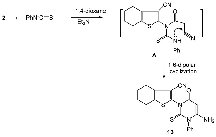 Scheme 7