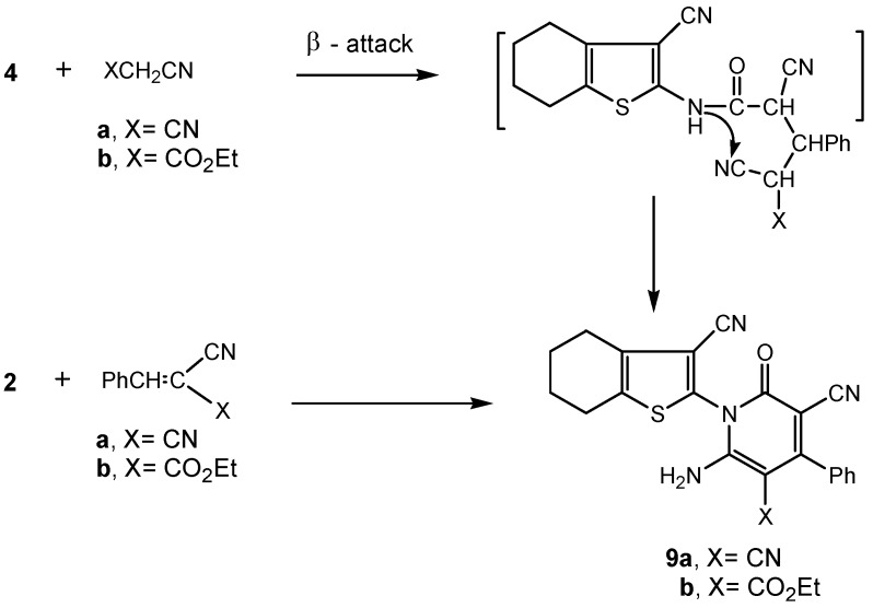 Scheme 4