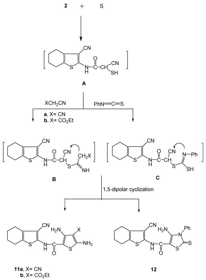 Scheme 6