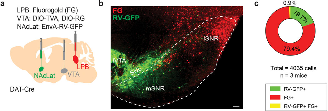 Extended Data Fig. 9.