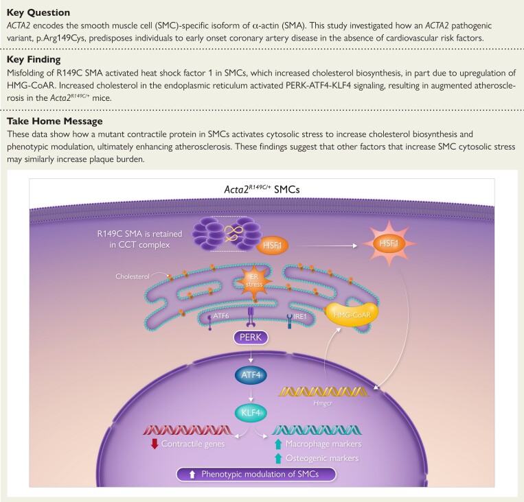 Structured Graphical Abstract