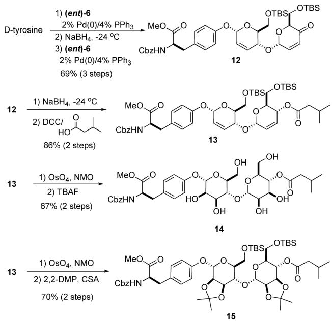 Scheme 6