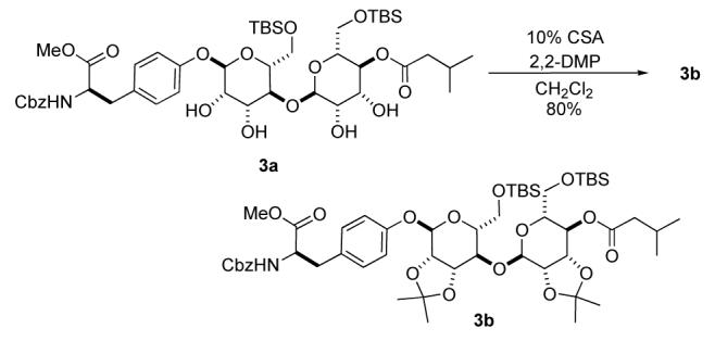 Scheme 5