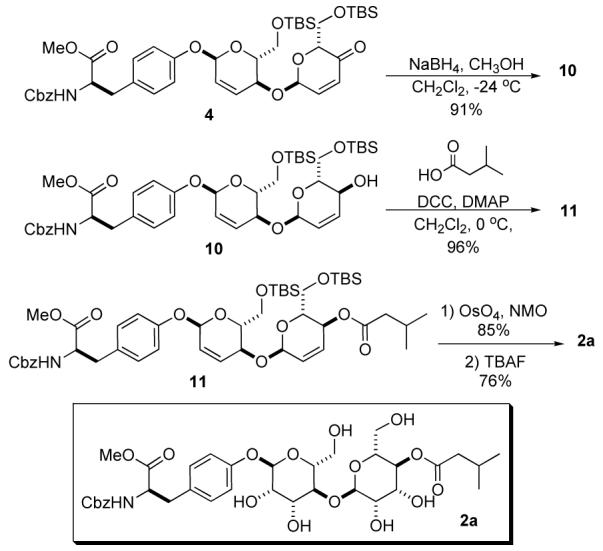 Scheme 4