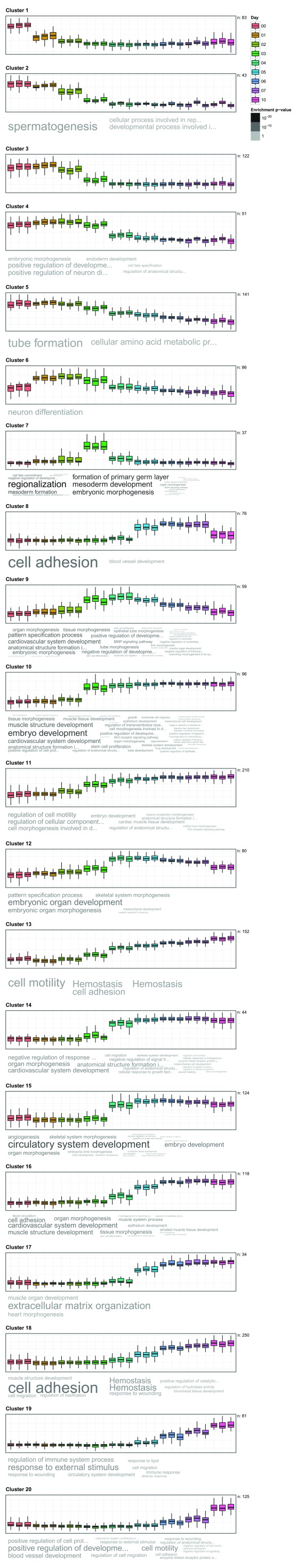 Supplementary Figure 2. 