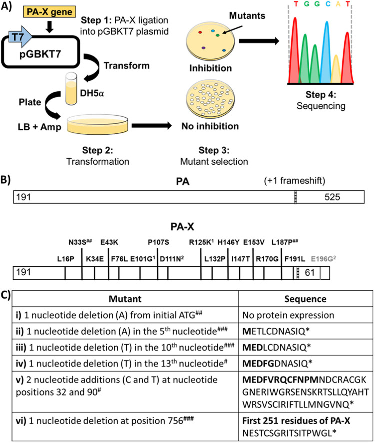 FIG 2