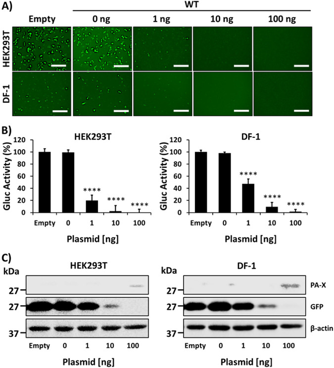 FIG 1