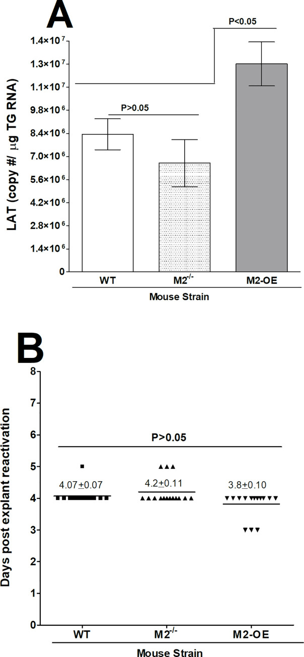 Fig 8