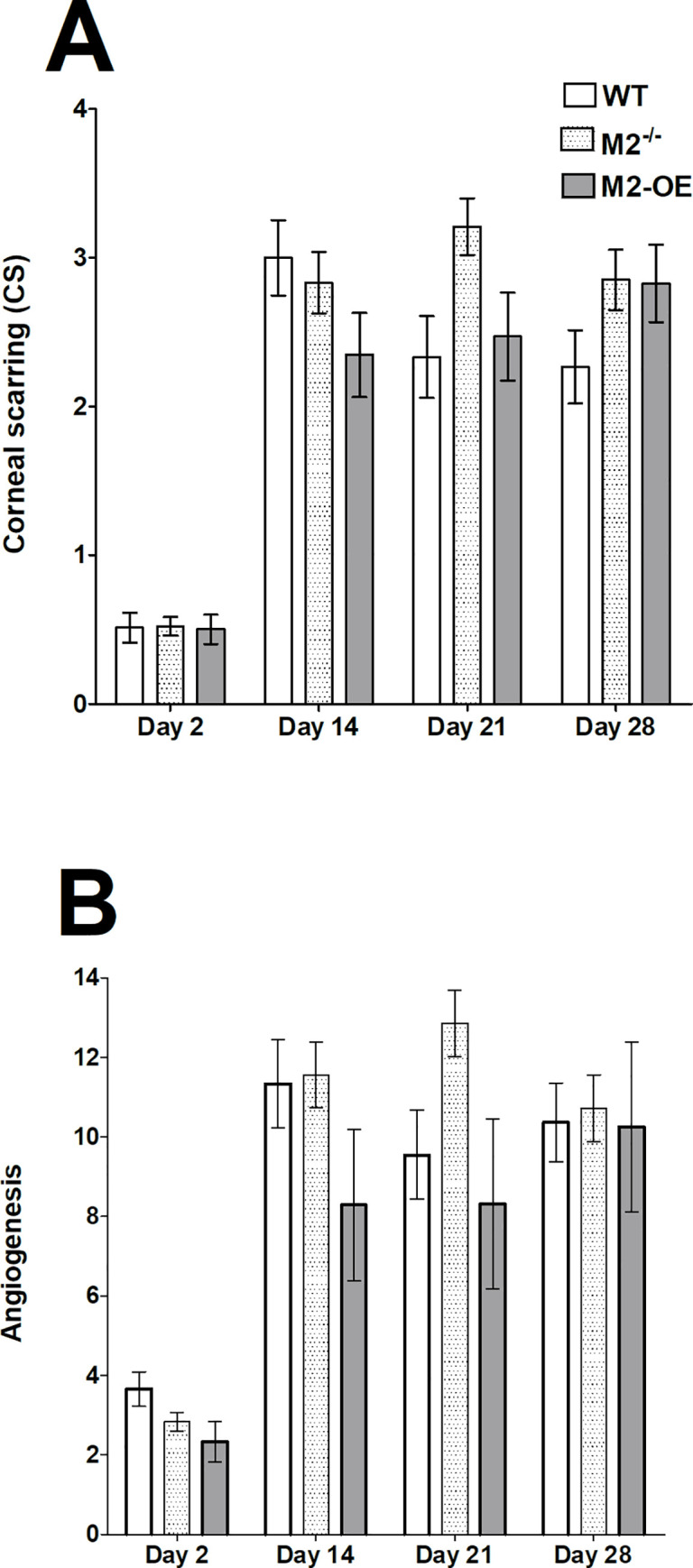 Fig 7