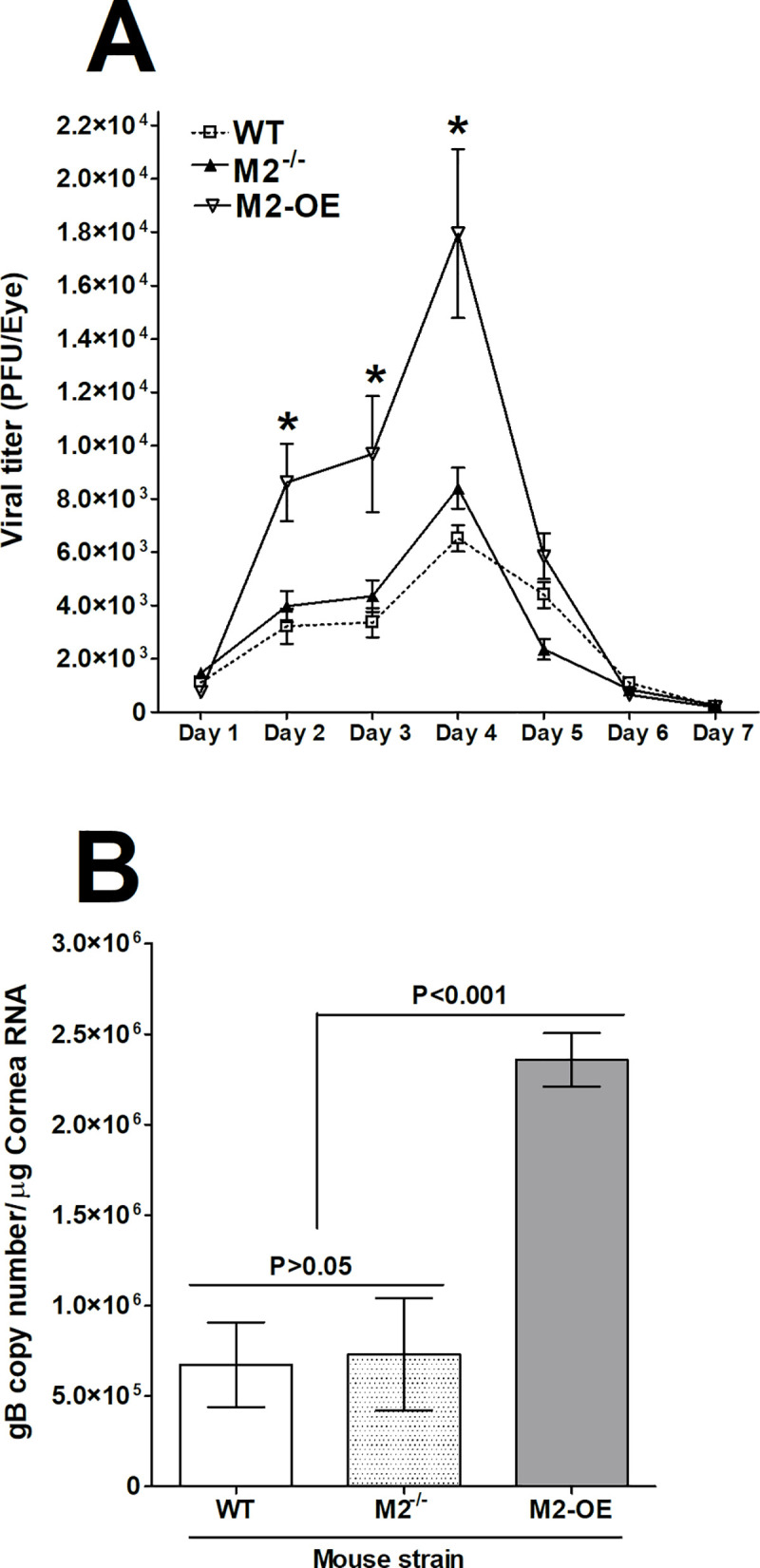 Fig 5