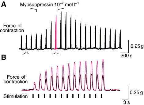 Fig. 10.