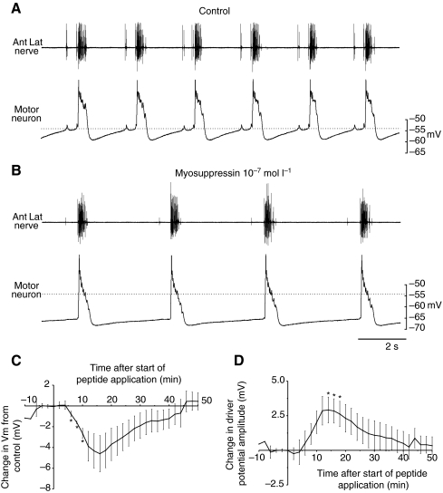 Fig. 8.