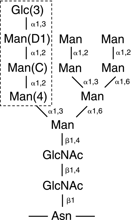 SCHEME 1.