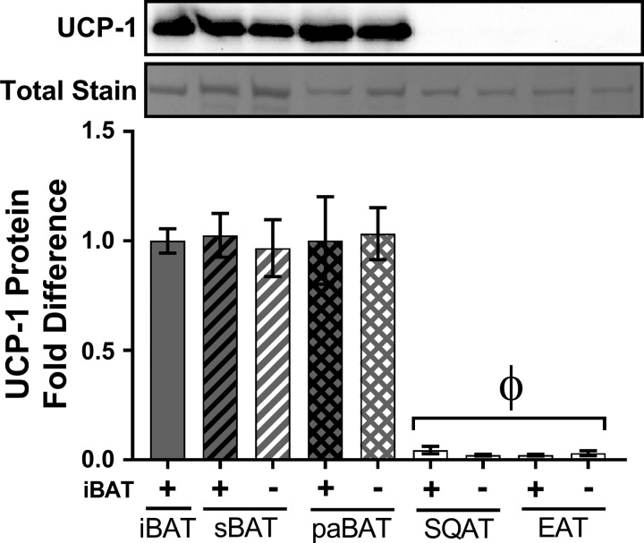 Fig. 9.