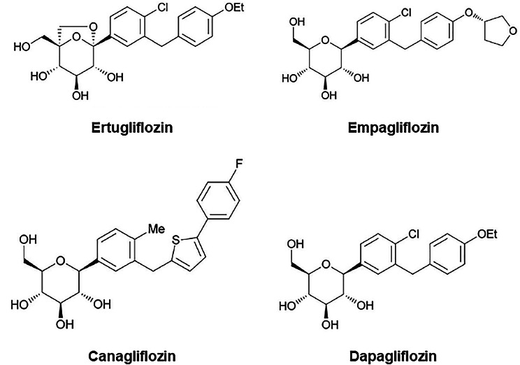 Fig. 1