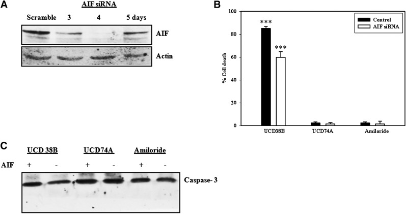 Fig. 10.