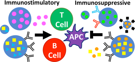 graphic file with name nihms-997469-f0001.jpg