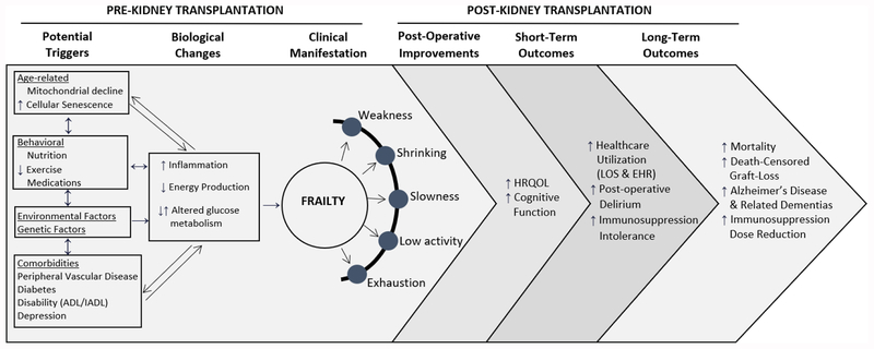 FIGURE 1: