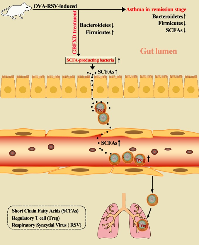 Graphical Abstract