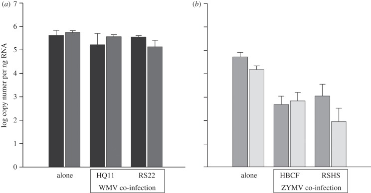 Figure 1.