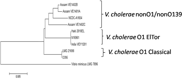 Fig. 2