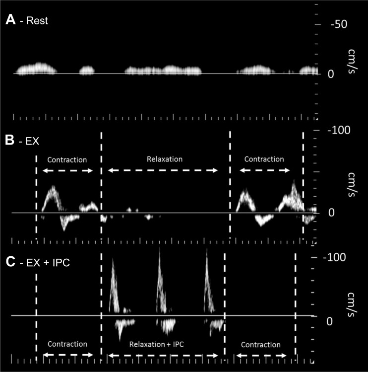 Fig. 5.