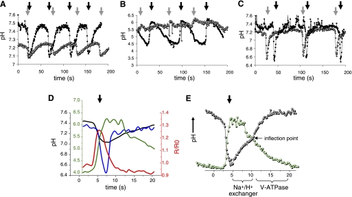 Fig. 3.