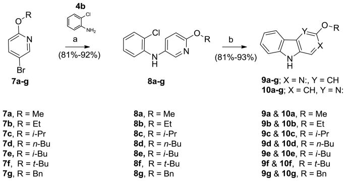 Scheme 3