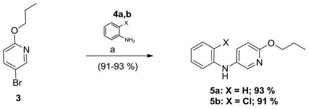 Scheme 2