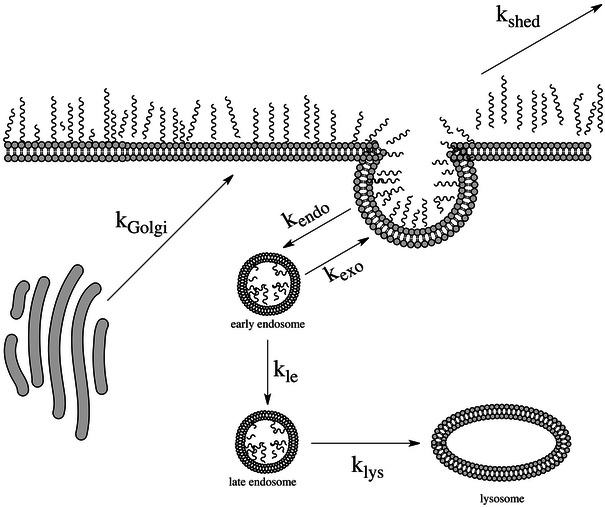 Figure 9