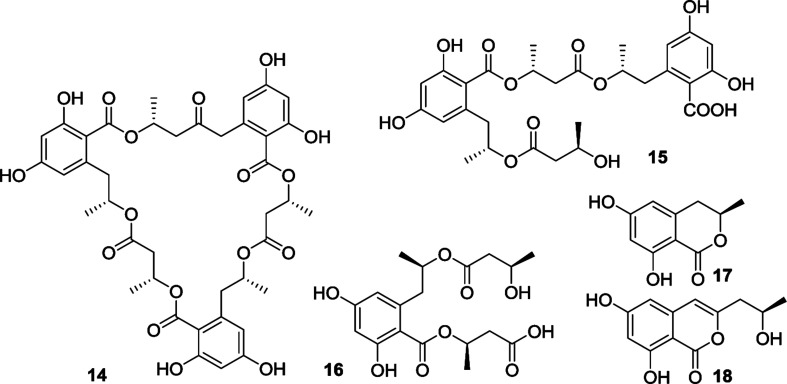 Fig. 5