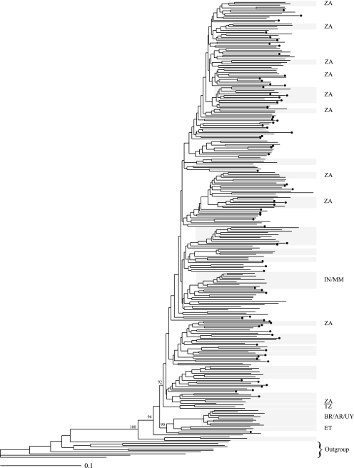 FIG. 1.