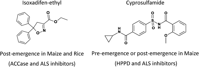 Figure 9.