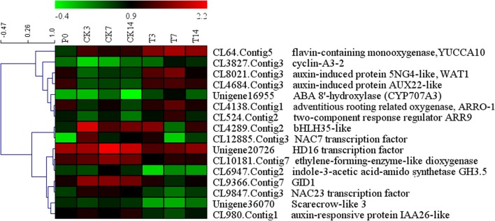 FIGURE 4