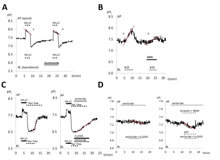 Fig. (1)