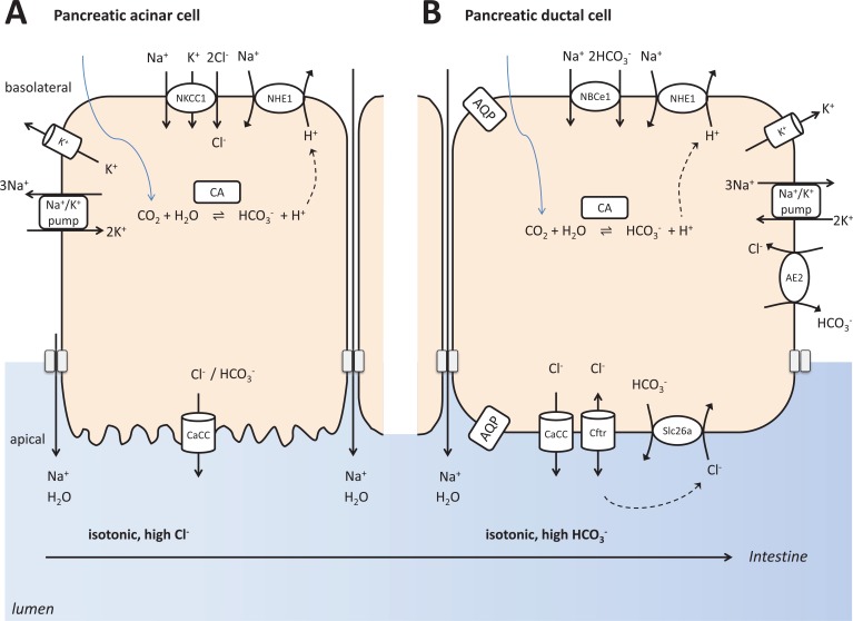 Fig. (2)