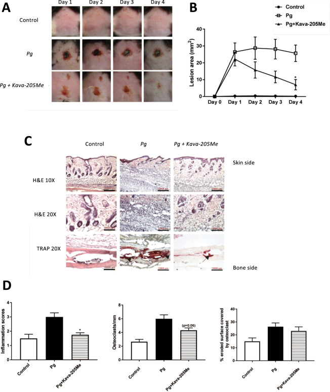 Figure 4