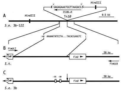 FIG. 1