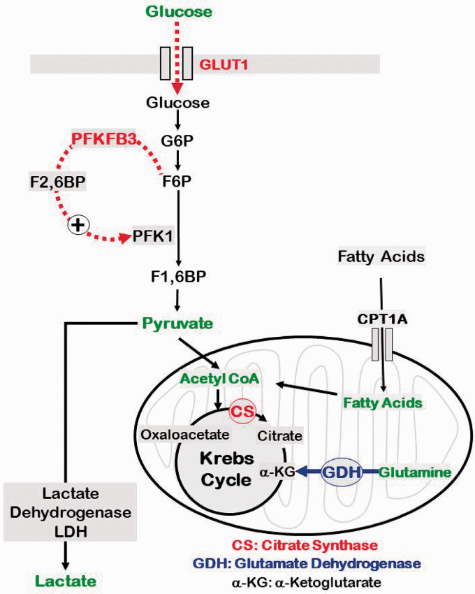 Figure 7.