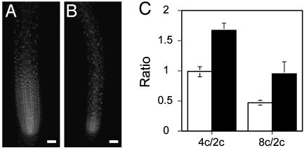 Fig. 9.