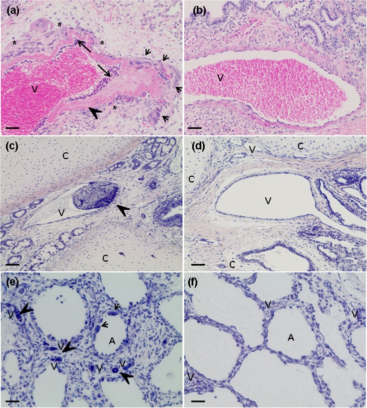 FIG 9