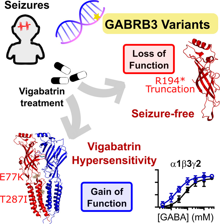 Graphical Abstract