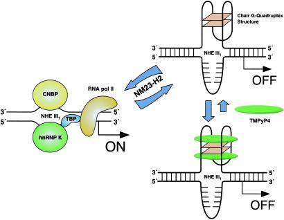 Scheme 2