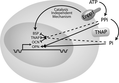 FIGURE 10.