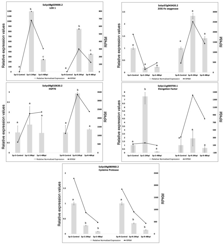 Figure 11