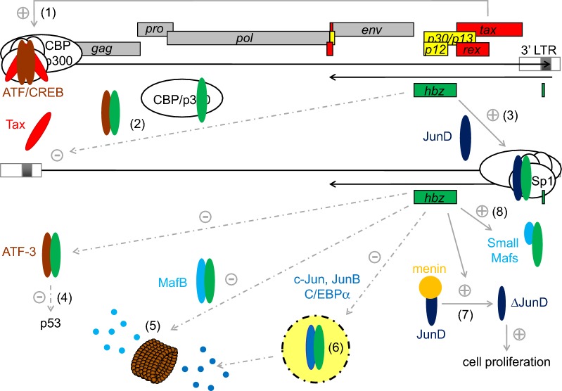 Fig. 1