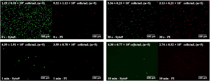 Fig. 3