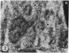 1715